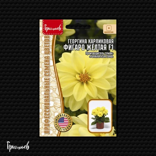 Миниатюра изображения сорта Фигаро махровая желтая