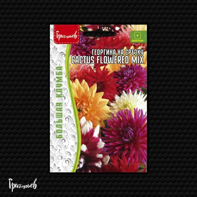 Cactus Flowered Mix на срезку