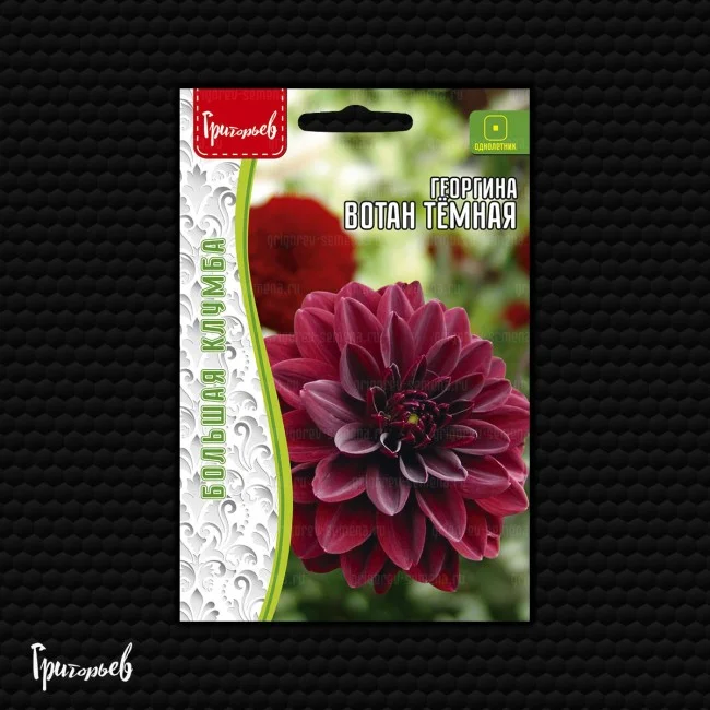 Вотан Тёмная