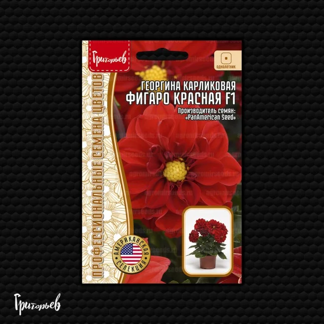 Миниатюра изображения сорта Фигаро махровая красная