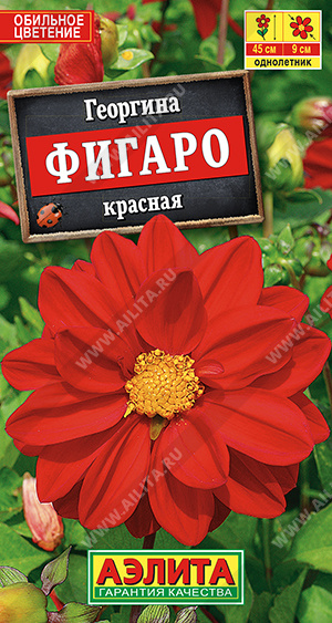 Фигаро махровая красная