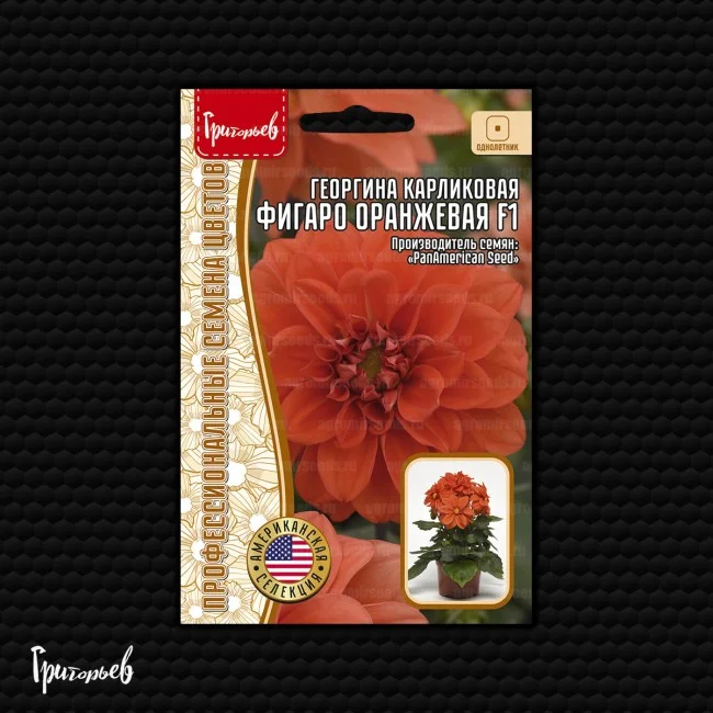 Миниатюра изображения сорта Фигаро махровая оранжевая