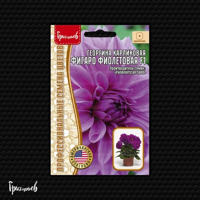 Миниатюра изображения сорта Фигаро махровая фиолетовая