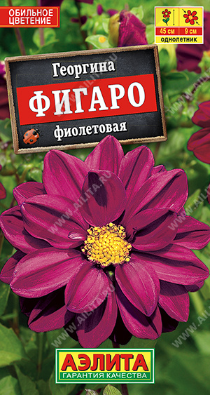 Фигаро махровая фиолетовая
