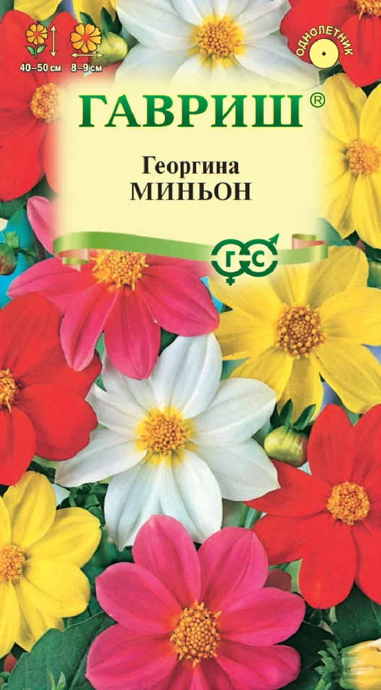 Миньон