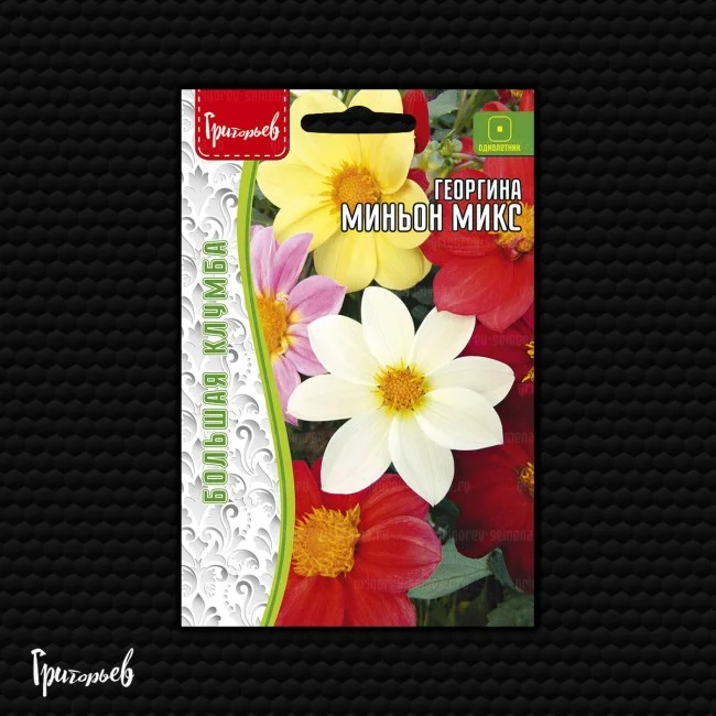 Миниатюра изображения сорта Миньон