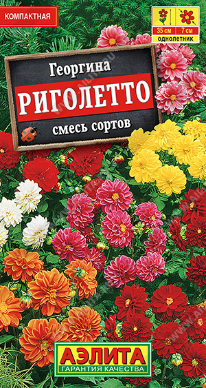 Риголетто (смесь окрасок)