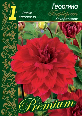 Барбаросса