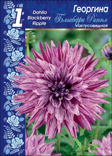 Блэкберри Риппл