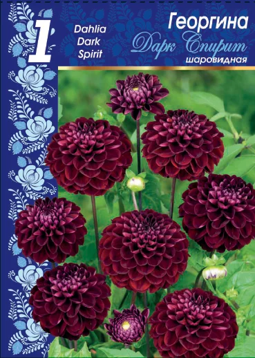 Дарк Спирит