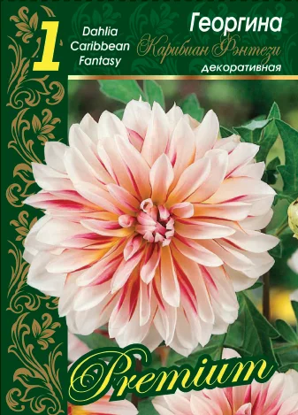 Карибиан Фэнтези