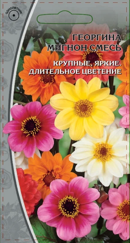 Мигнон Микс