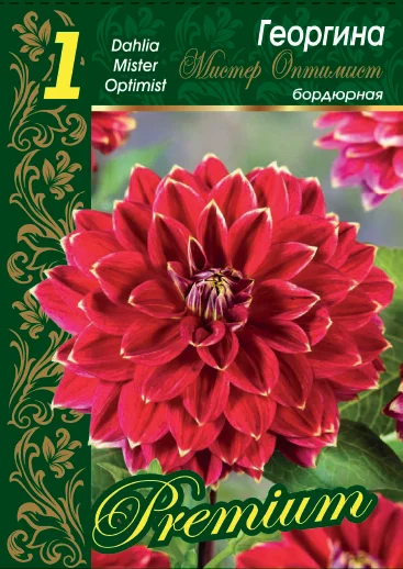 Мистер Оптимист