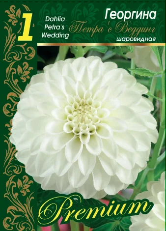 Петрас Веддинг