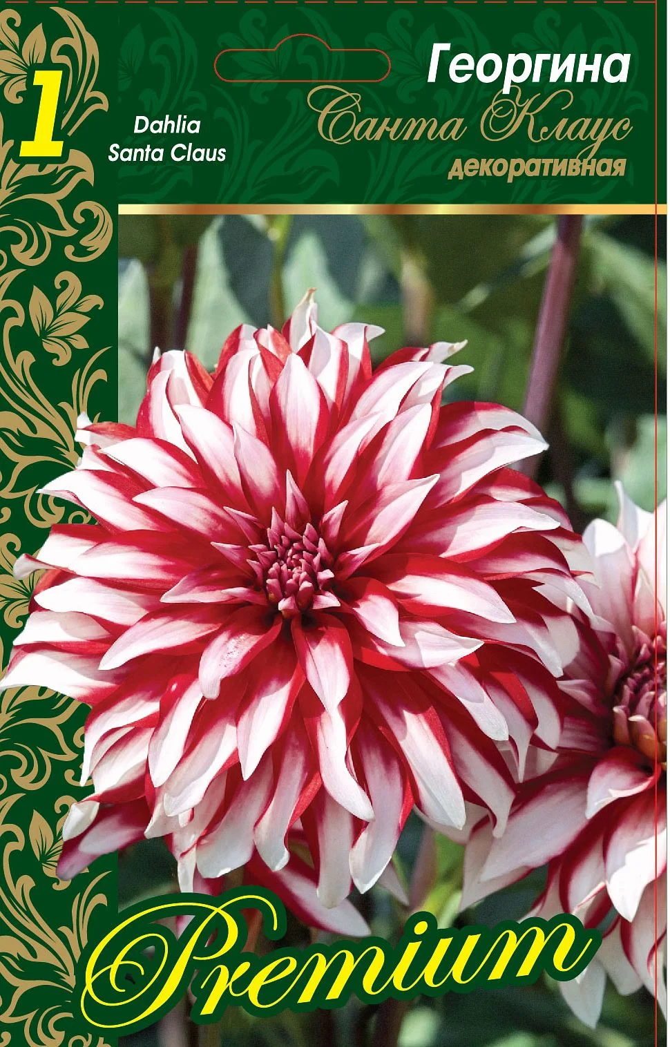 Санта Клаус