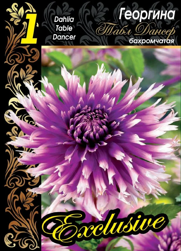 Табл Дансер