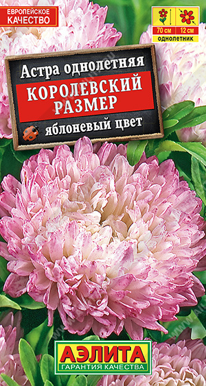 Королевский размер яблоневый цвет