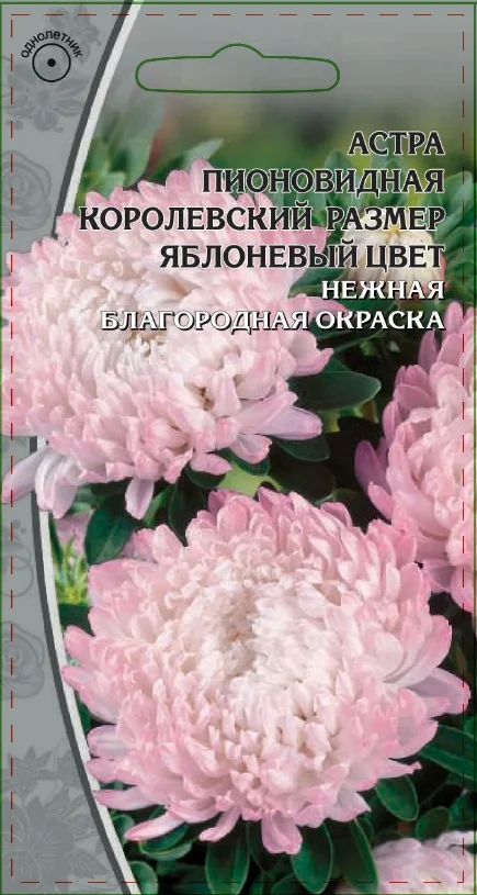 Миниатюра изображения сорта Королевский размер яблоневый цвет