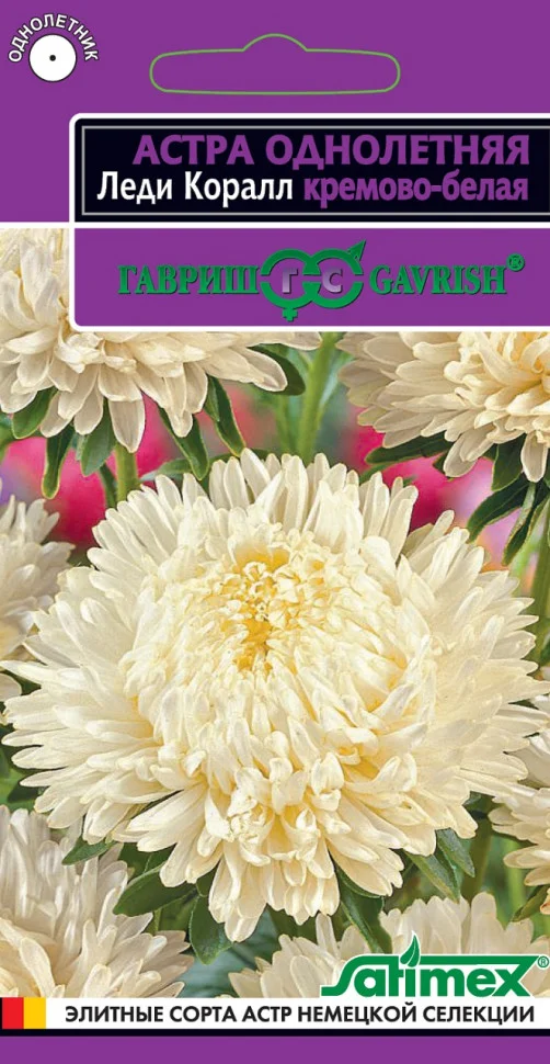 Миниатюра изображения сорта Леди Коралл кремово-белая