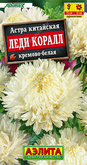 Леди Коралл кремово-белая