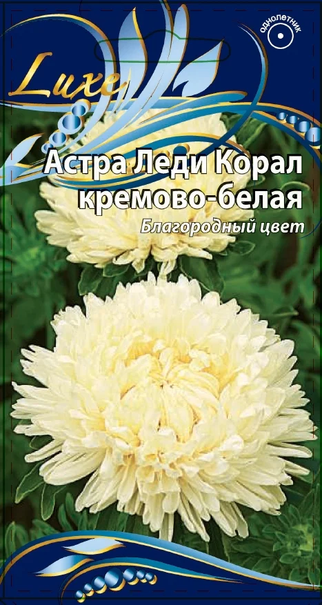 Миниатюра изображения сорта Леди Коралл кремово-белая
