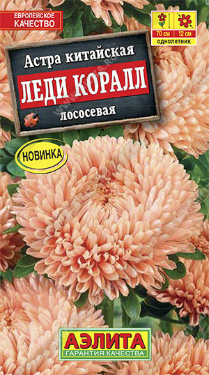 Леди Коралл лососевая