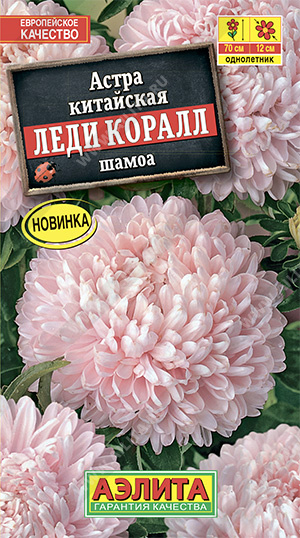 Леди Коралл шамоа