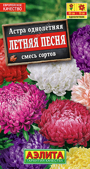 Летняя песня