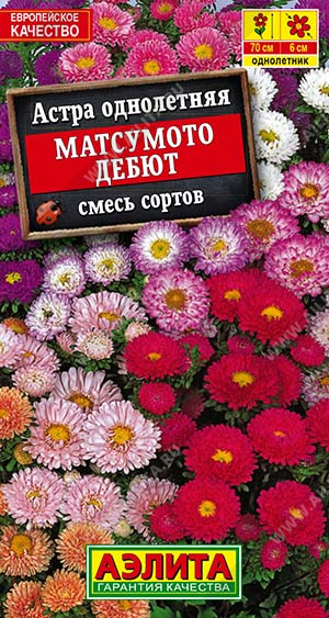 Матсумото Дебют