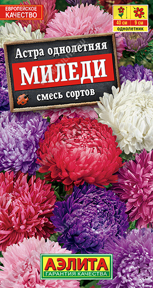 Миледи