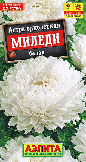 Миледи белая