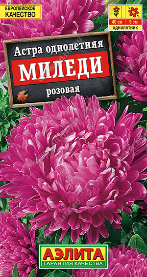 Миледи розовая