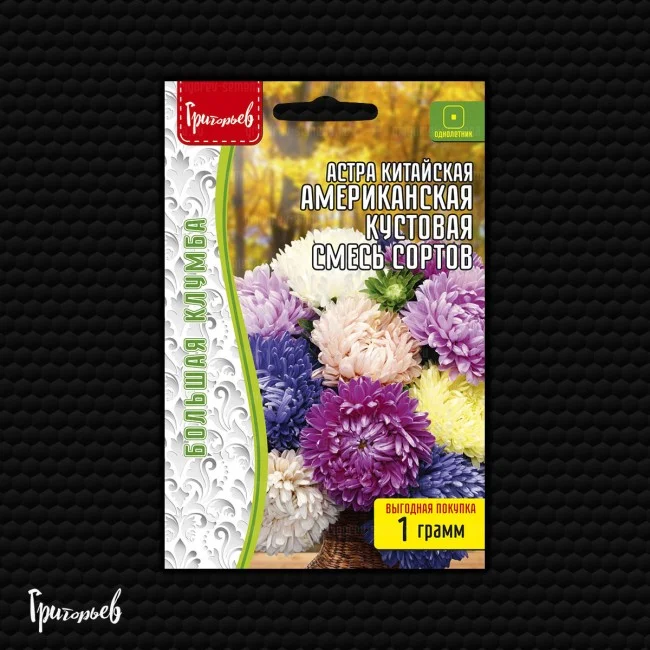 Миниатюра изображения сорта Американская кустовая