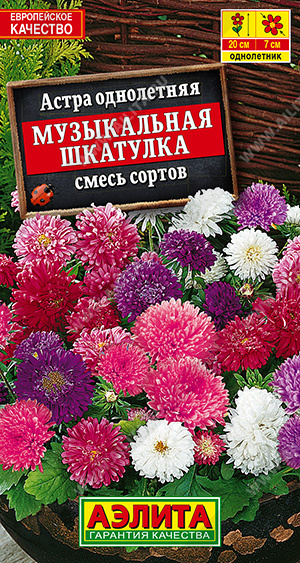 Музыкальная шкатулка