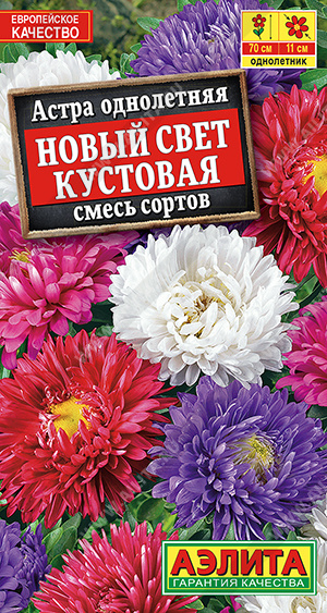 Новый свет кустовая