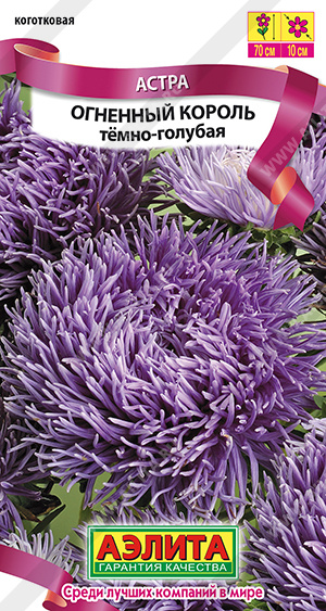 Огненный король темно-голубая