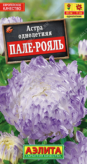 Пале-рояль пионовидная