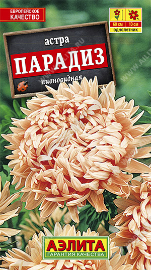 Парадиз пионовидная