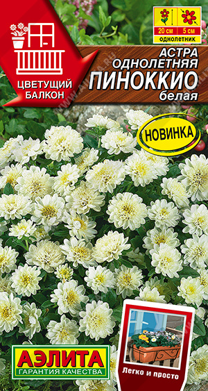 Пиноккио белая