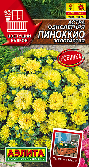 Пиноккио золотистая