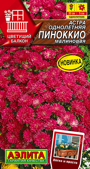 Пиноккио малиновая