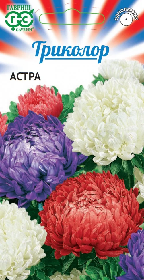 Миниатюра изображения сорта Пионовидная