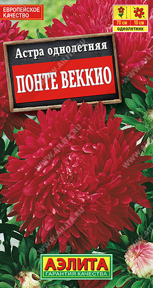 Понте Веккио