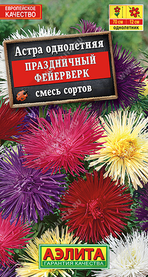 Праздничный фейерверк