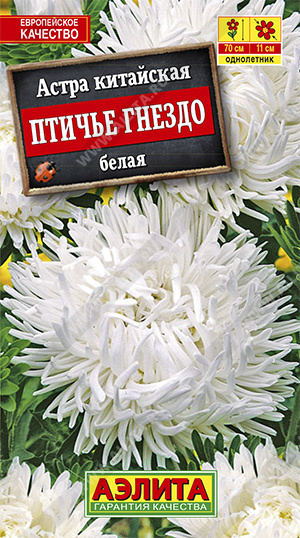 Птичье гнездо белая