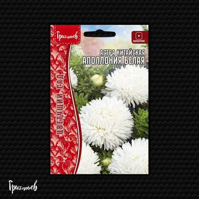 Миниатюра изображения сорта Аполлония белая