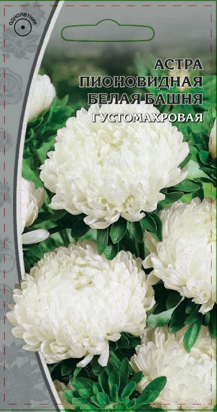 Миниатюра изображения сорта Белая башня