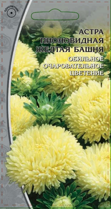 Миниатюра изображения сорта Желтая башня