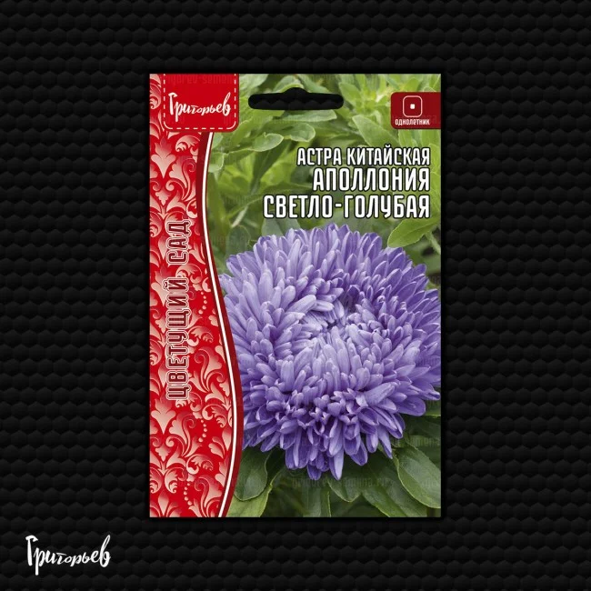 Миниатюра изображения сорта Аполлония светло-голубая