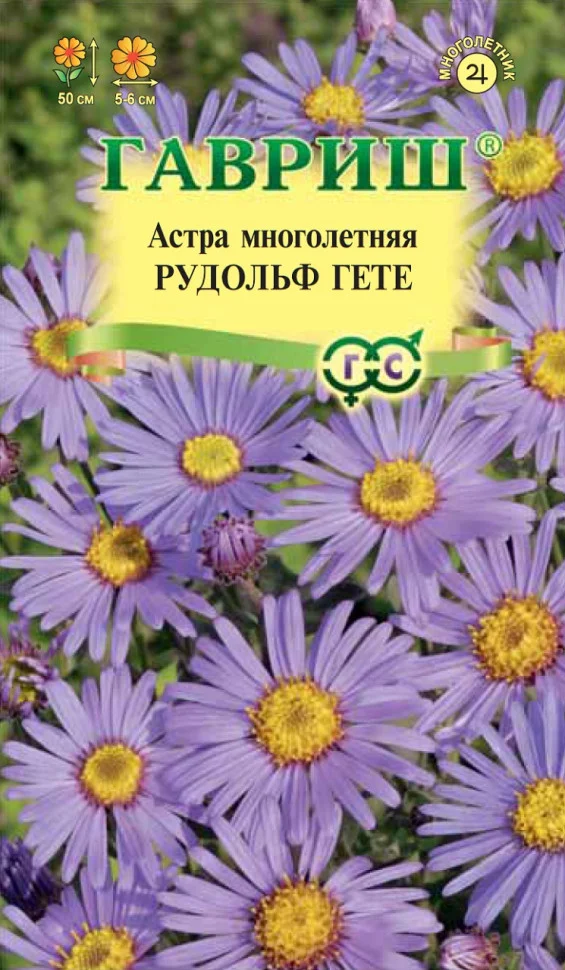 Рудольф Гете